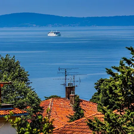 Zaninovic *